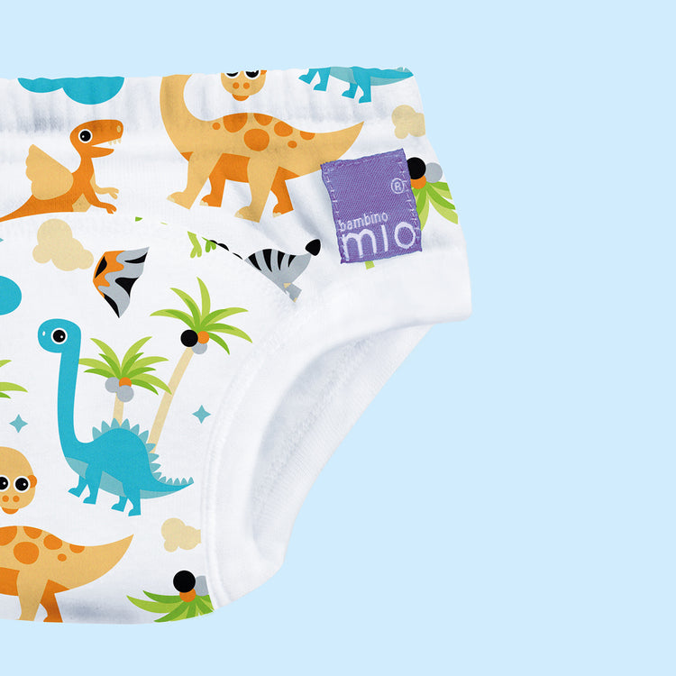 Reusable potty training pants