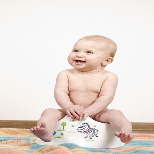 Tips for potty training your child