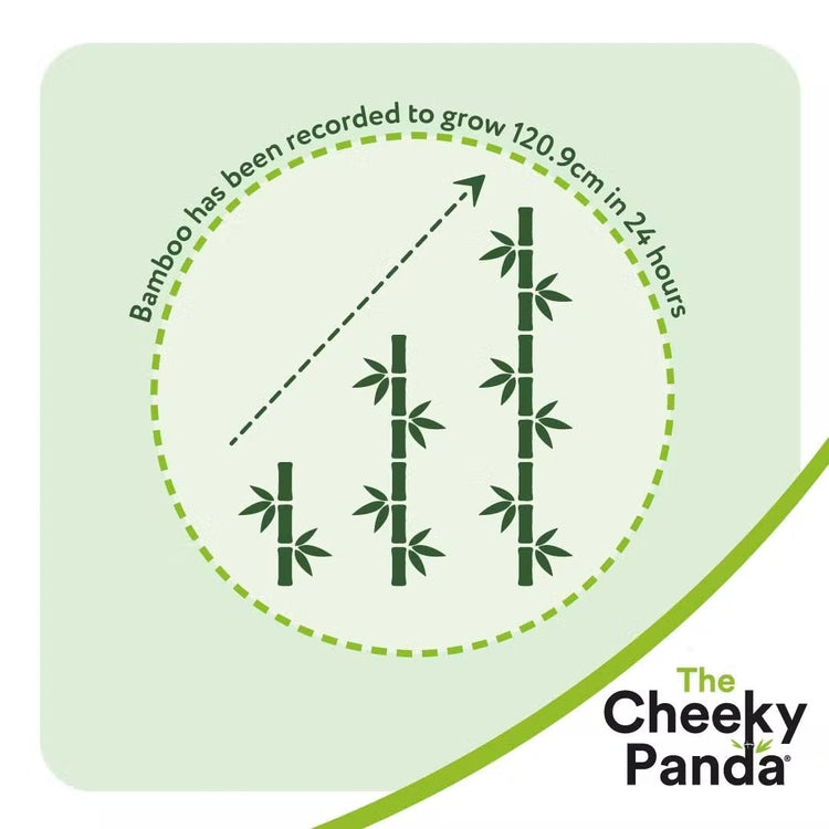 The Cheeky Panda Bamboo nappies